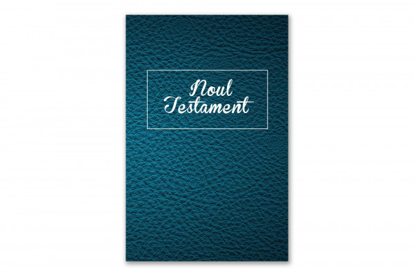 Neues Testament Rumänisch (BTF)