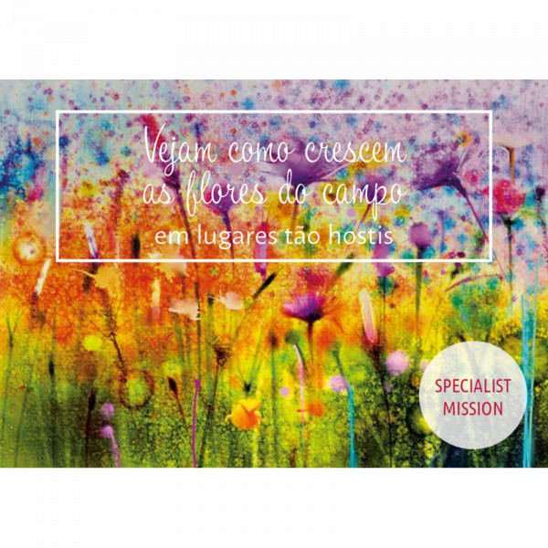 Betrachte die Wildblumen, Portugiesisch